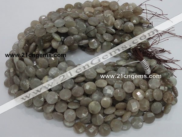 CMS46 15.5 inches 14mm faceted coin moonstone gemstone beads