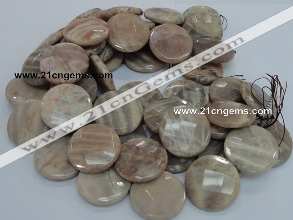 CMS49 15.5 inches 40mm faceted coin moonstone gemstone beads