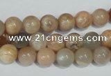 CMS503 15.5 inches 8mm round moonstone beads wholesale