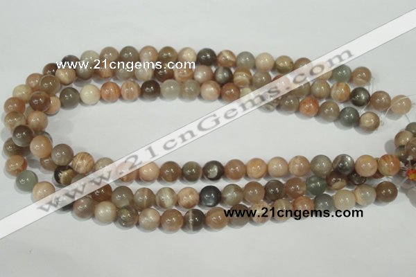 CMS504 15.5 inches 10mm round moonstone beads wholesale