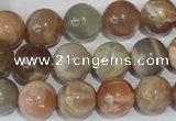 CMS505 15.5 inches 12mm round moonstone beads wholesale