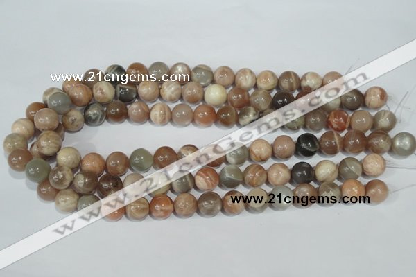 CMS505 15.5 inches 12mm round moonstone beads wholesale