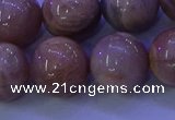 CMS507 15.5 inches 16mm round moonstone beads wholesale