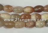 CMS511 15.5 inches 8*12mm rice moonstone beads wholesale