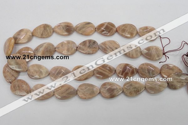 CMS55 15.5 inches 18*25mm faceted flat teardrop moonstone beads