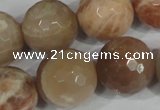 CMS577 15.5 inches 20mm faceted round moonstone beads wholesale