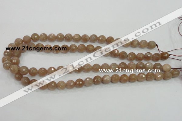 CMS60 15.5 inches 10mm faceted round moonstone gemstone beads