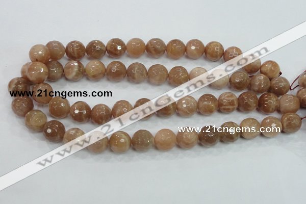 CMS62 15.5 inches 14mm faceted round moonstone gemstone beads