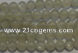 CMS651 15.5 inches 6mm round grey moonstone beads wholesale