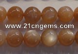 CMS734 15.5 inches 12mm round A grade natural peach moonstone beads