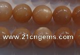 CMS735 15.5 inches 14mm round A grade natural peach moonstone beads