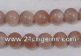 CMS754 15.5 inches 10mm round natural moonstone beads wholesale