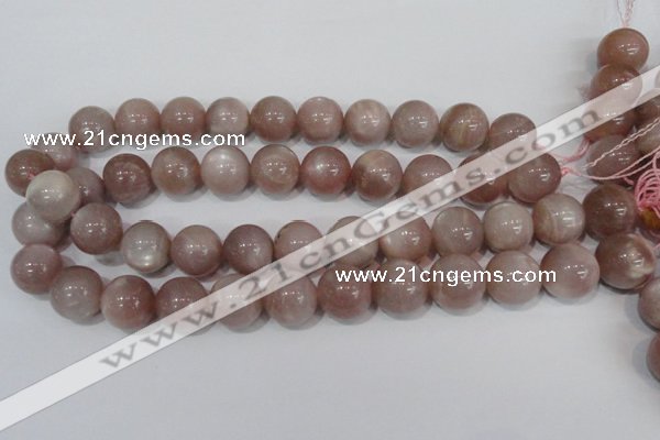 CMS759 15.5 inches 17mm round natural moonstone beads wholesale