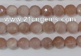 CMS764 15.5 inches 8mm faceted round natural moonstone beads