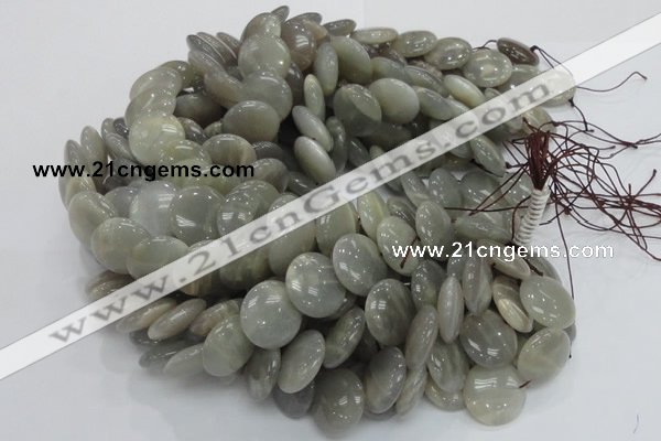 CMS79 15.5 inches 20mm flat round moonstone gemstone beads