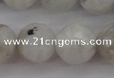 CMS804 15.5 inches 12mm faceted round white moonstone beads