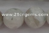 CMS805 15.5 inches 14mm faceted round white moonstone beads