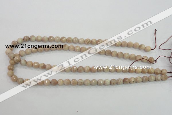 CMS83 15.5 inches 8mm faceted round moonstone gemstone beads