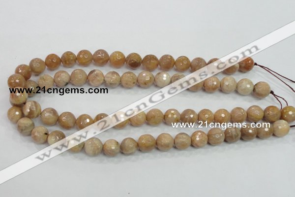 CMS85 15.5 inches 12mm faceted round moonstone gemstone beads