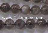 CMS852 15.5 inches 8mm round natural black moonstone beads