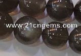 CMS855 15.5 inches 14mm round natural black moonstone beads