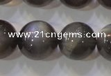 CMS861 15.5 inches 12mm round A grade natural black moonstone beads