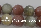 CMS875 15.5 inches 16mm faceted round moonstone gemstone beads