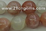 CMS894 15.5 inches 12mm round moonstone gemstone beads wholesale