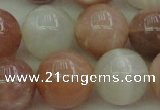 CMS895 15.5 inches 14mm round moonstone gemstone beads wholesale