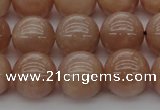 CMS934 15.5 inches 12mm round A grade moonstone gemstone beads