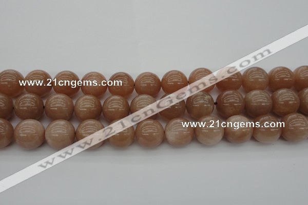 CMS935 15.5 inches 14mm round A grade moonstone gemstone beads