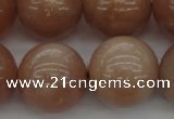 CMS936 15.5 inches 16mm round A grade moonstone gemstone beads