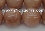 CMS937 15.5 inches 18mm round A grade moonstone gemstone beads