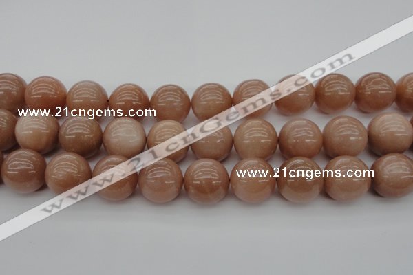 CMS937 15.5 inches 18mm round A grade moonstone gemstone beads