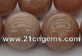 CMS938 15.5 inches 20mm round A grade moonstone gemstone beads