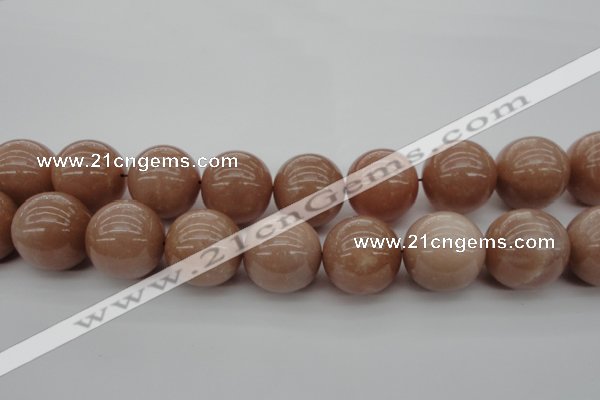 CMS938 15.5 inches 20mm round A grade moonstone gemstone beads