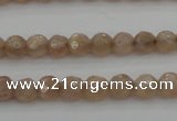 CMS940 15.5 inches 4mm faceted round A grade moonstone gemstone beads