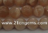 CMS942 15.5 inches 8mm faceted round A grade moonstone gemstone beads