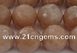 CMS945 15.5 inches 14mm faceted round A grade moonstone gemstone beads