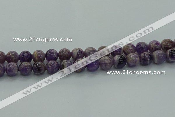 CNA1004 15.5 inches 12mm round dogtooth amethyst beads wholesale