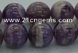 CNA1005 15.5 inches 14mm round dogtooth amethyst beads wholesale