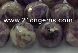 CNA1015 15.5 inches 14mm faceted round dogtooth amethyst beads