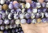 CNA1091 15.5 inches 14mm faceted round dogtooth amethyst beads