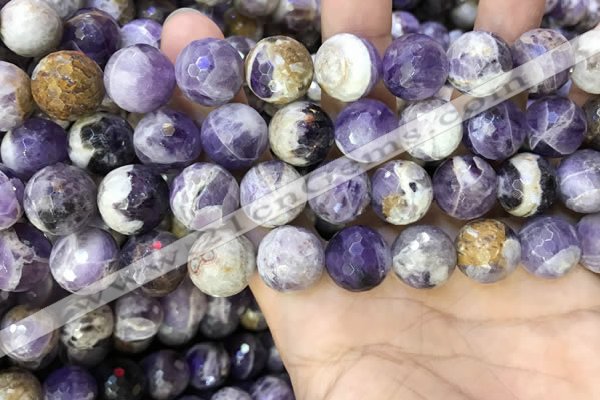 CNA1091 15.5 inches 14mm faceted round dogtooth amethyst beads