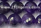 CNA993 15.5 inches 10mmm faceted round amethyst beads wholesale