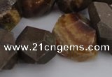 CNG1038 13*18mm - 18*25mm faceted nuggets ammonite fossil beads