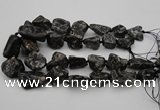 CNG1096 15.5 inches 18*25mm - 25*35mm nuggets ammonite fossil beads