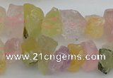 CNG1139 15.5 inches 8*12mm - 13*18mm nuggets mixed quartz beads