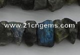 CNG1140 15.5 inches 8*12mm - 13*18mm nuggets labradorite beads