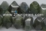 CNG1152 15.5 inches 10*14mm - 15*20mm faceted nuggets labradorite beads